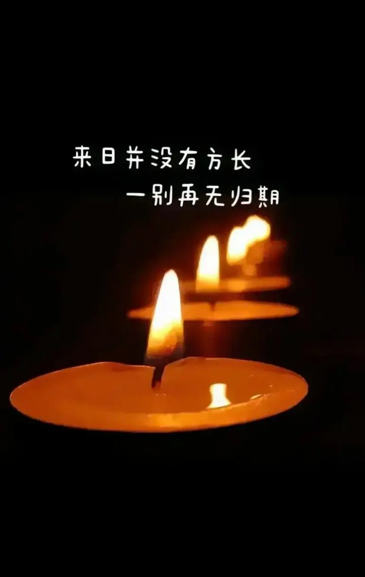 人生感悟的句子万家灯火_1