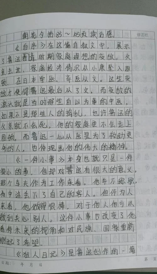 呐喊的读后感800_2