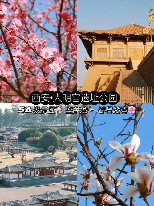 大明宫门票免费景点_1