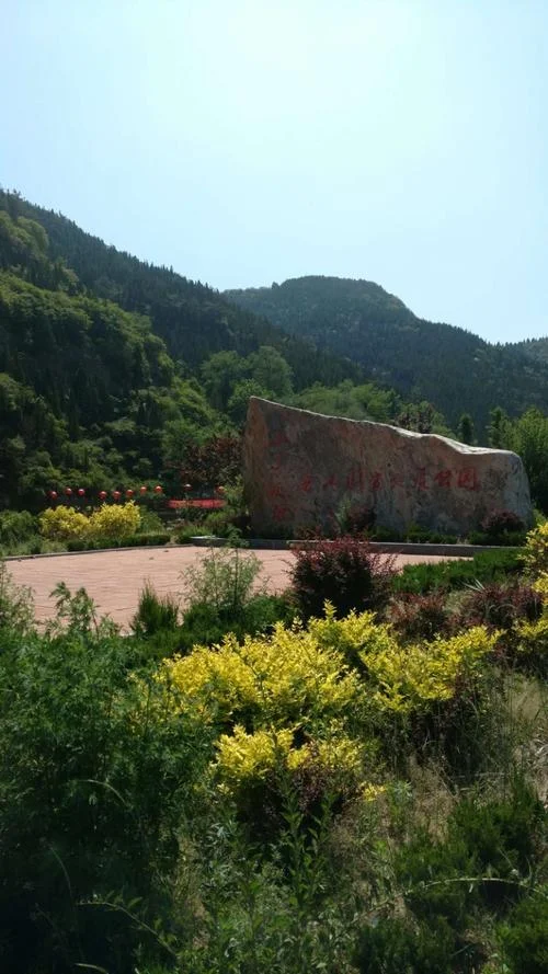 临沂沂源旅游景点大全_2