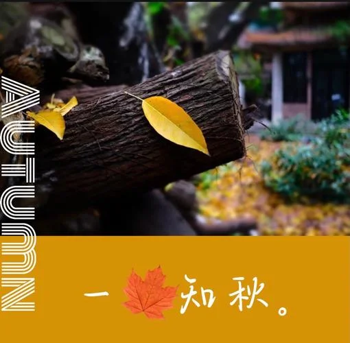秋天语录感悟人生-秋语人生感悟