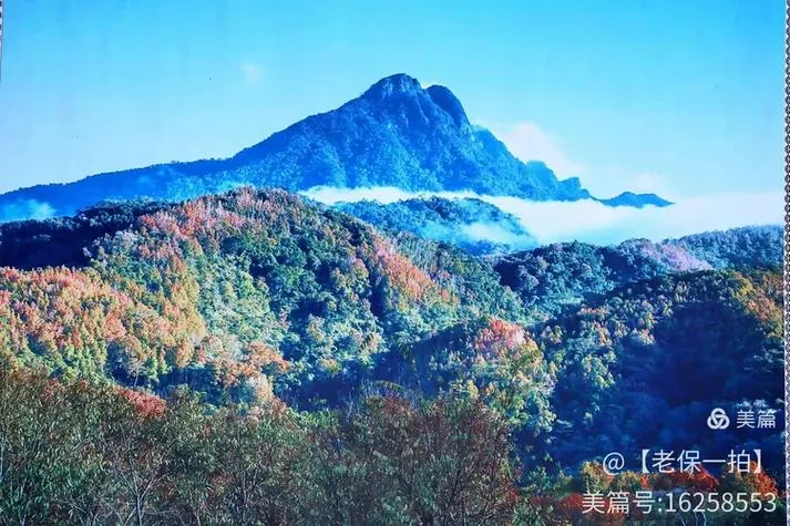 五指山到海口多少公里_2