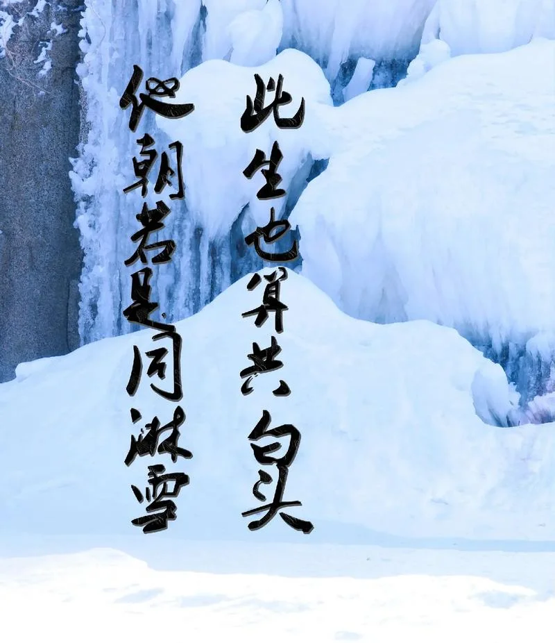 白衣飘飘下一句_1