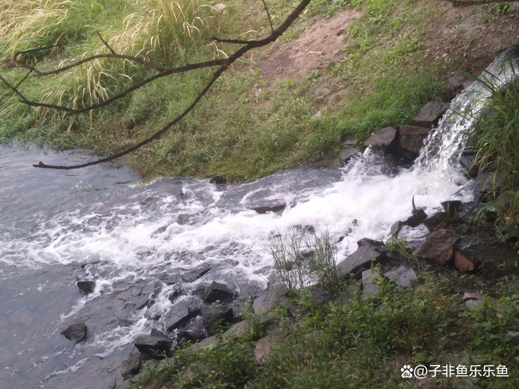 梦见青水变成黑水-梦青水化黑