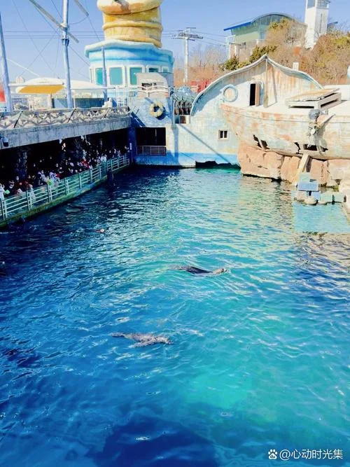 老虎滩海洋公园景点旅游路线_1