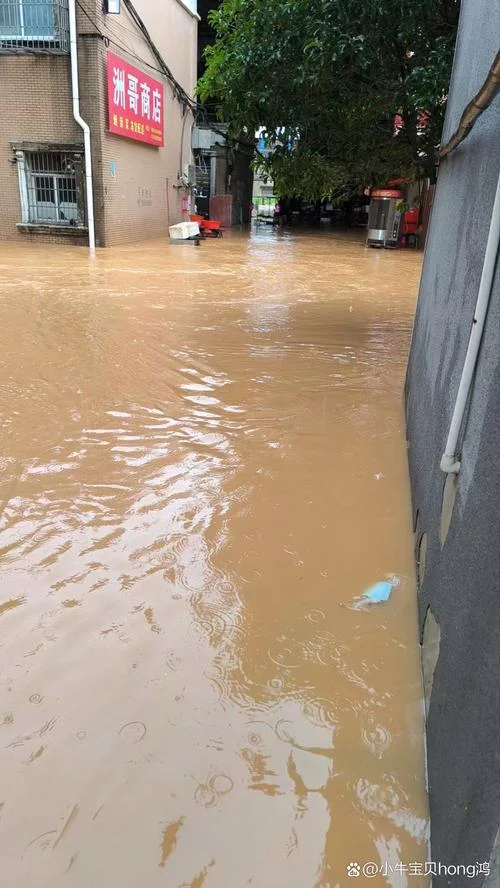 梦见涨大水把自己淹了_2