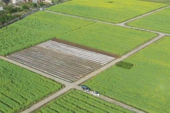10平方米等于多少亩地-10 平米约 0.002 亩