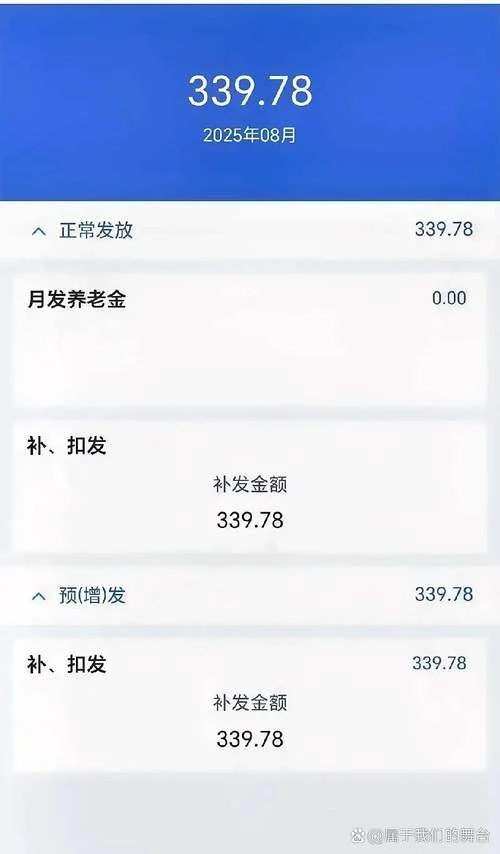 养老金明细在哪里查_2