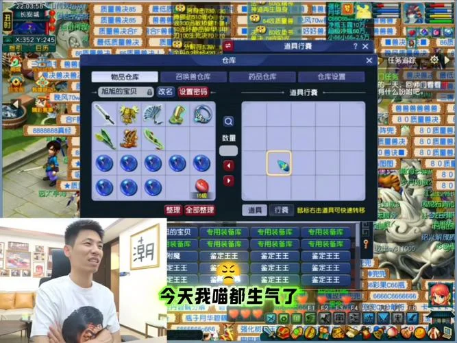 宠物附魔宝珠叫什么_1