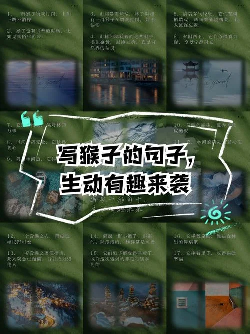 玩猴的人是谁写的_1
