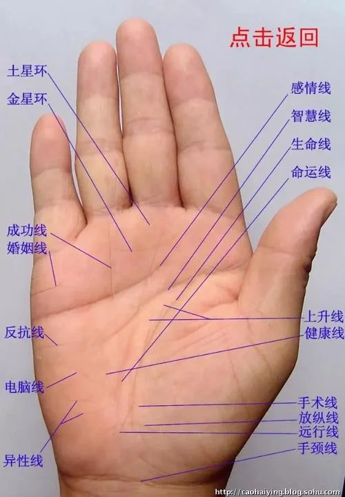 看手相准不准呀_2