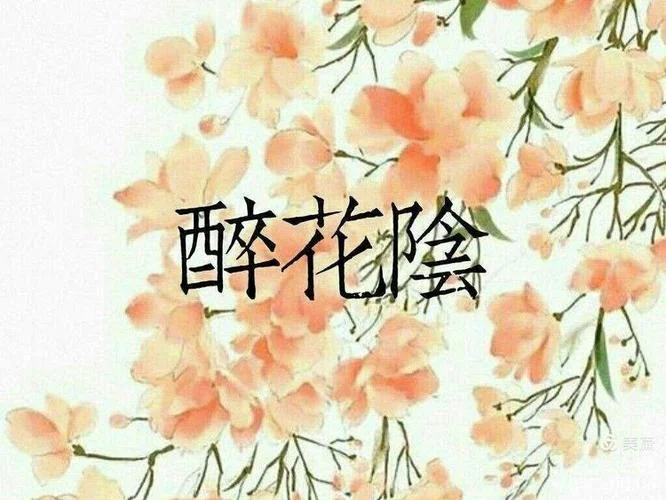 黯乡魂追旅思出处_1