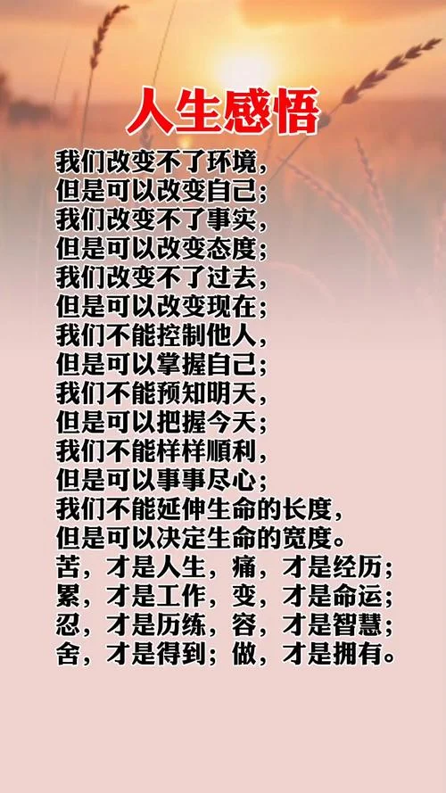 以智取胜人生感悟_2