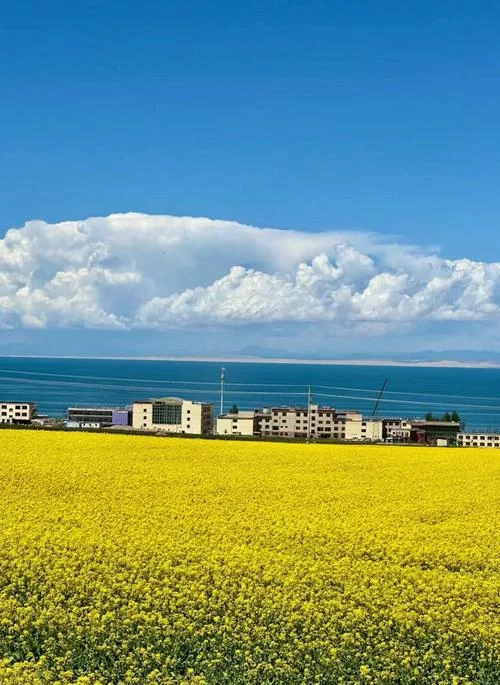 青海湖景点推荐一日-青海湖一日游玩攻略
