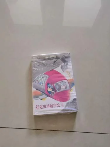 舒克贝塔航空公司感悟_1