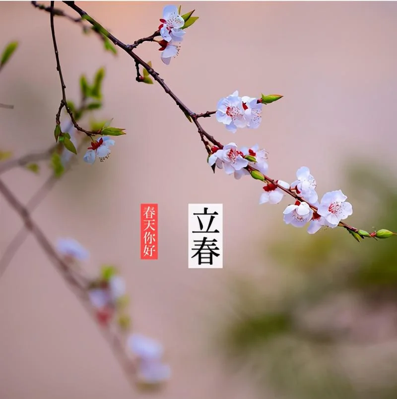 锦绣前程的意思和道理_2