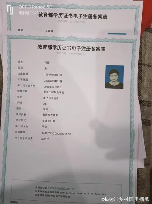 学信网学历证书编号如何查询_1