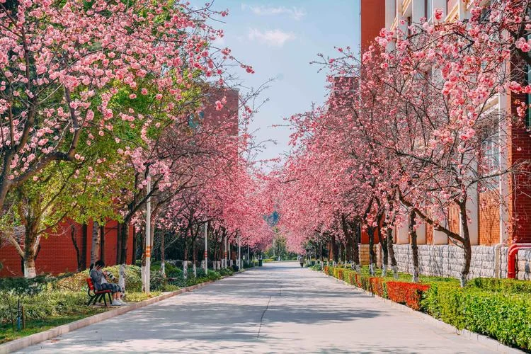 云南最低分二本公办大学-云南最低分二本公办
