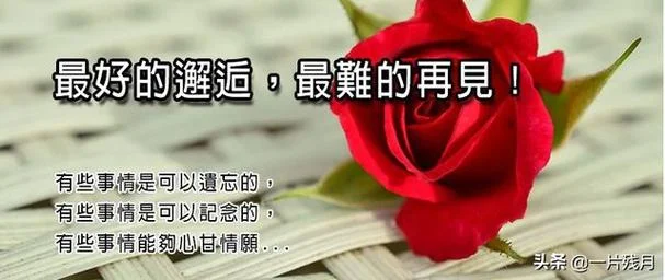 醉纸金迷下一句_2
