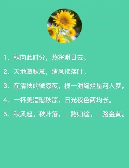 秋分优美的文案简短_1