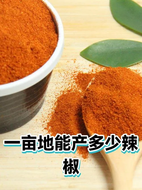 一亩辣椒产量多少_2