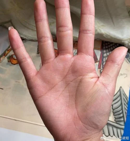 m纹手相好不好_1