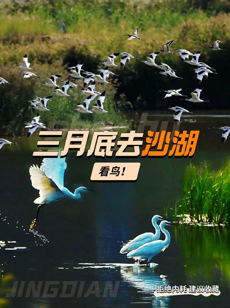 沙湖旅游攻略详细介绍_1