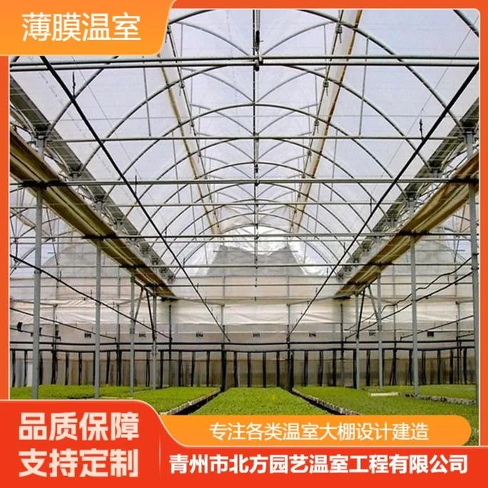 温室大棚多少钱一亩_2