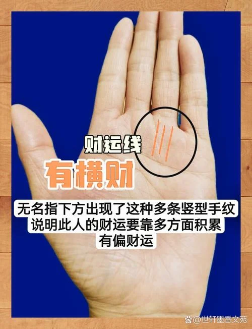 男人手相看你一生财运_1