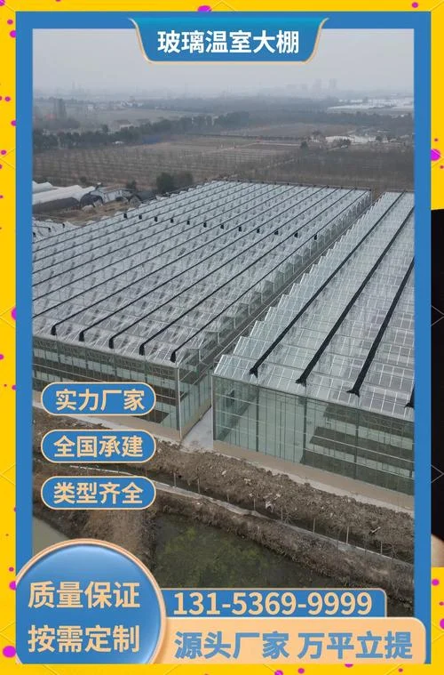 连栋大棚大概多少钱一亩_1