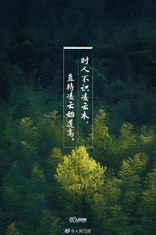 星野出自哪句古诗_1