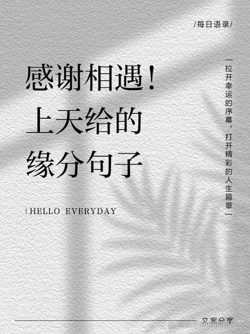 不论结局感恩相遇-感恩相遇不论结局