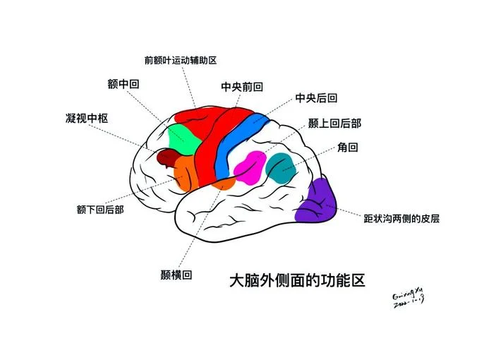 大脑地图英语怎么学_2