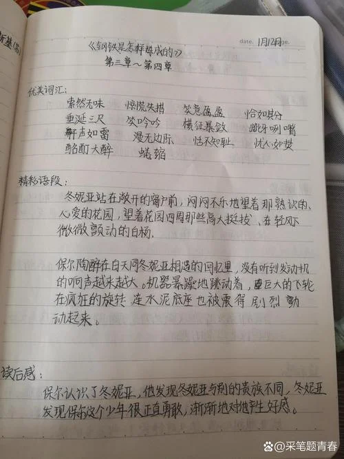 钢铁是怎样炼成的第二章读书笔记200字-读书笔记