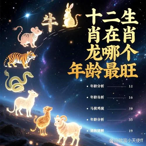43属啥的?哪年_2