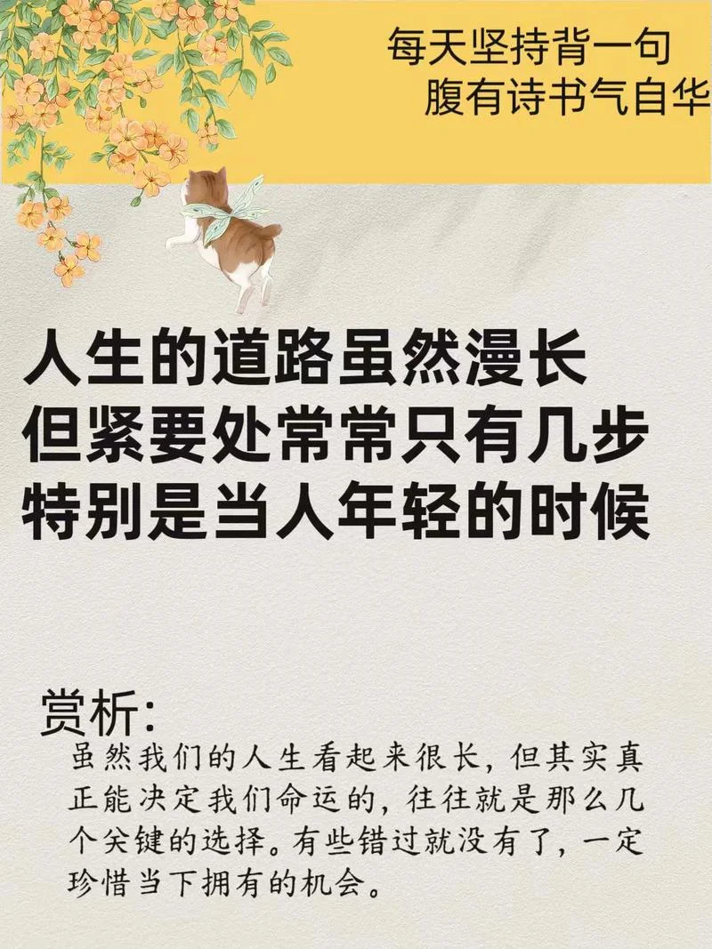 不要成为那种懂得很多道理_2