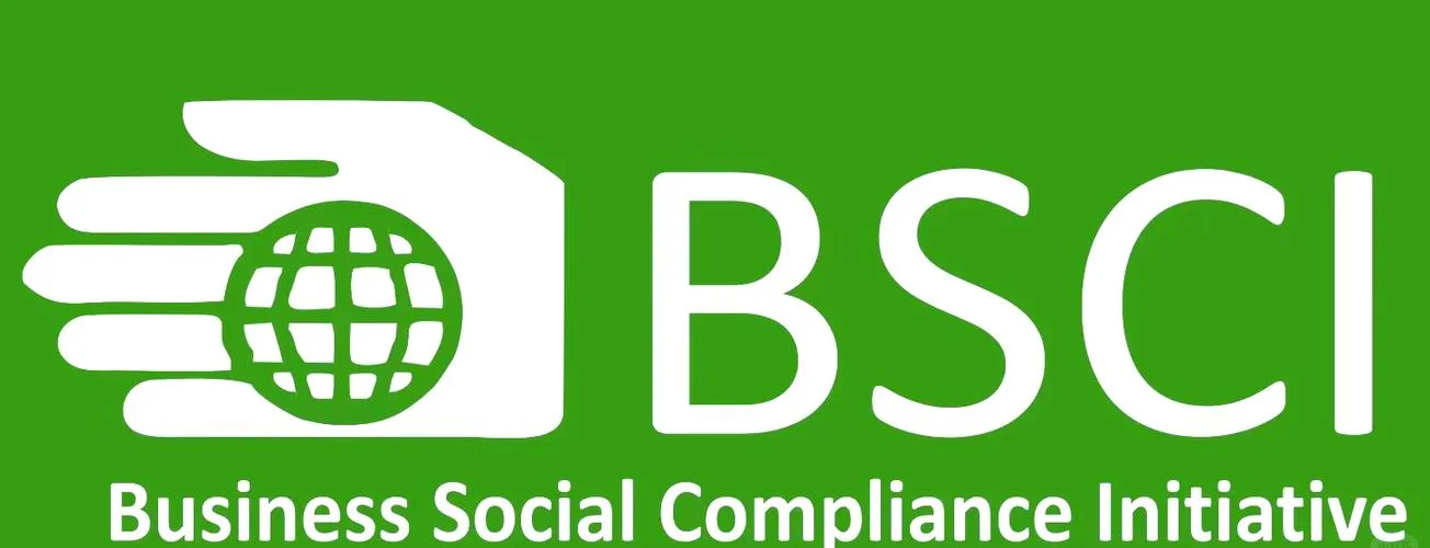 bsci认证中文全称-BSI认证中文全称
