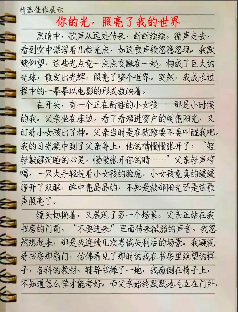 感悟父爱作文600字作文_1
