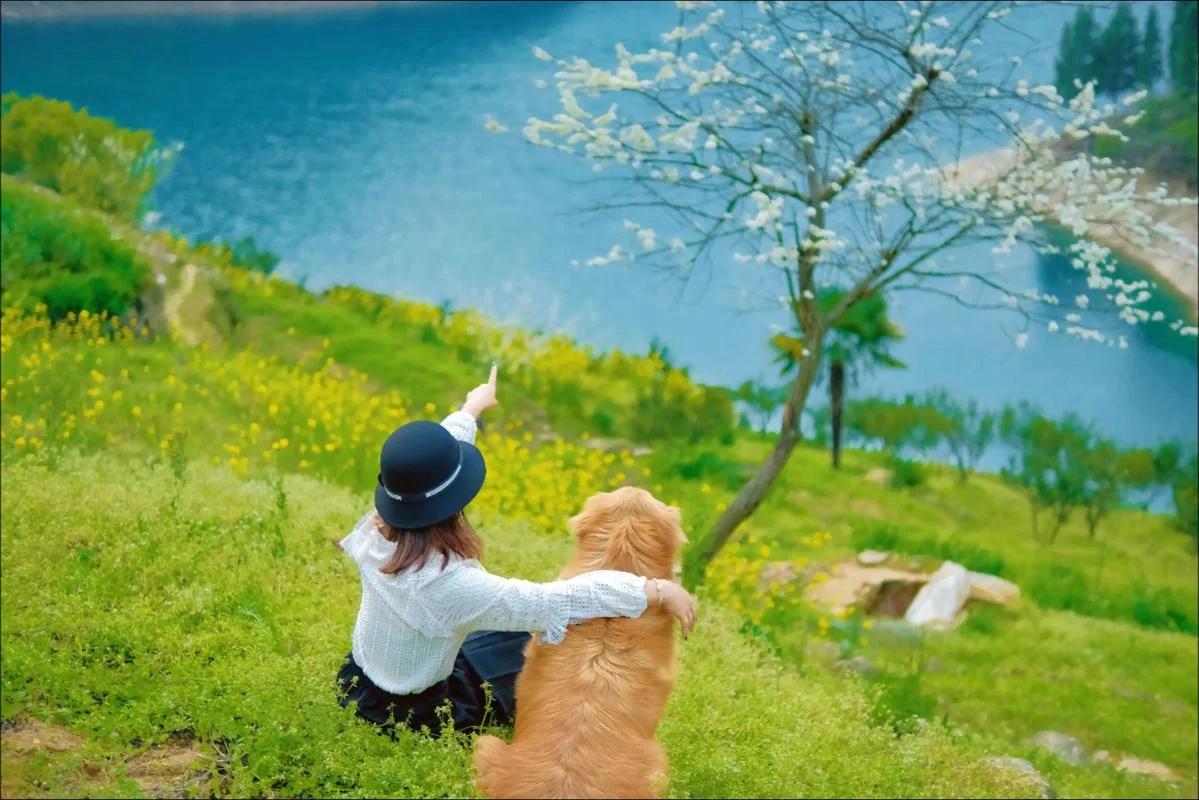 春天里的人们大结局_2