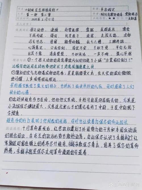 钢铁是怎样炼成的每章摘抄+感悟_1