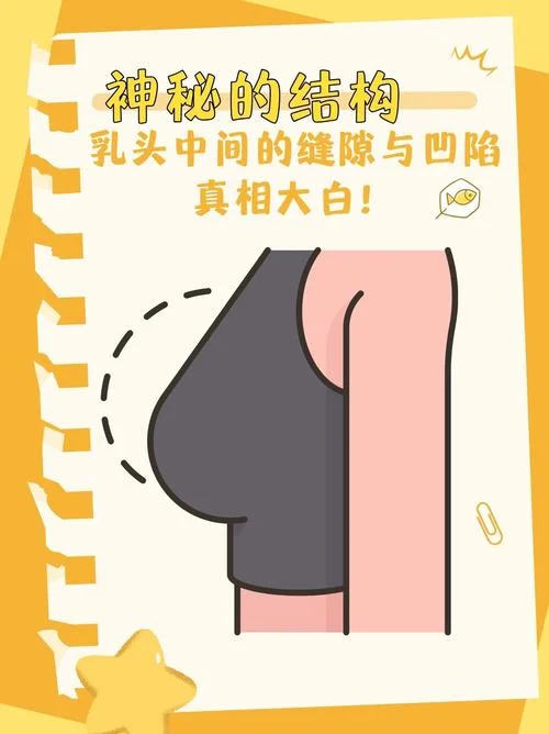 梦见乳头-梦到乳房
