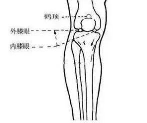 墙壁眼睛膝盖出自_1