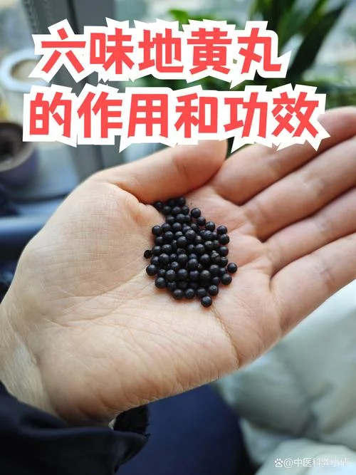 什么是六味地黄丸蜜丸_1