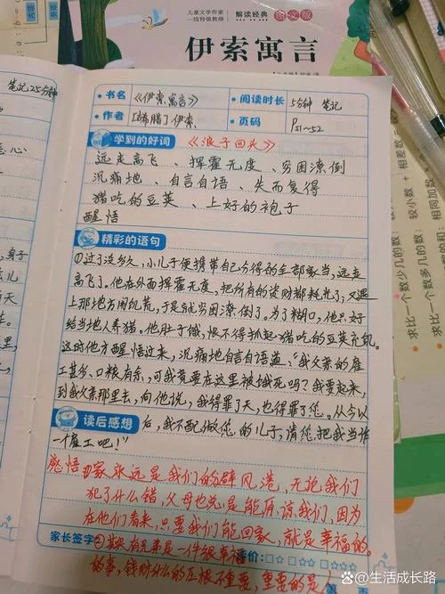 小狐狸阿权读书笔记-小狐狸阿权读书心得