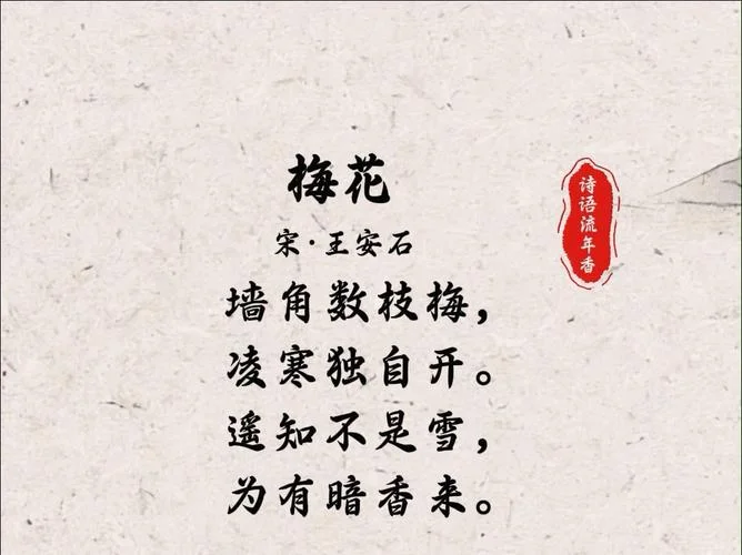 梅花的作者叫什么名字-梅花作者