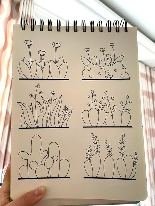 植物简笔画图片_2