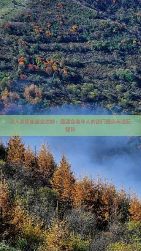 老年人海南旅游攻略_2