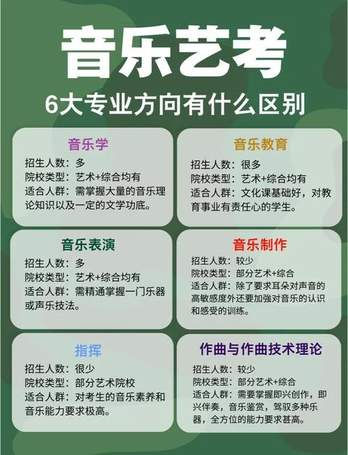 高考艺考器乐类考什么_2