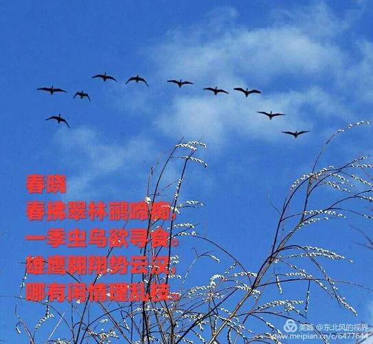 轻吟浅唱的出处_2