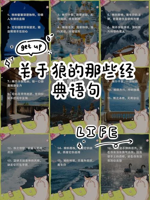 狼三则出处_1